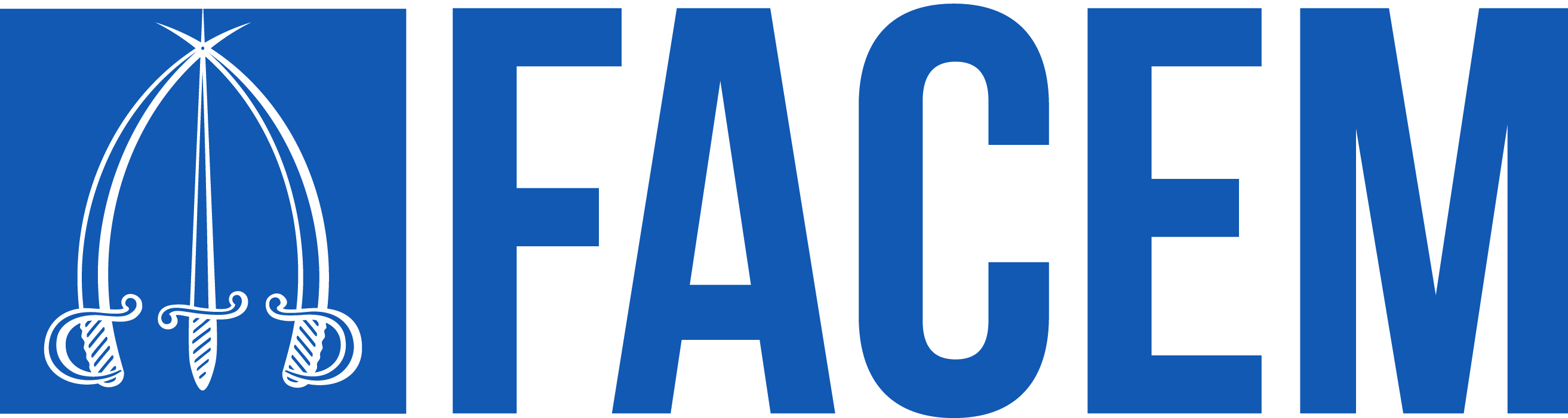 Logo F.A.C.E.M.